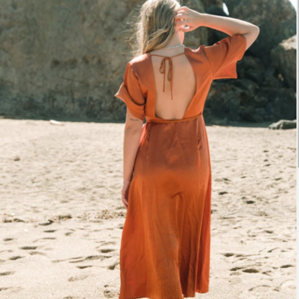 Whimsy + Row Lola Wrap Dress Blush XS - Picture 5 of 5